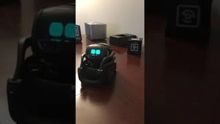 Vector Anki Robot - Emotions