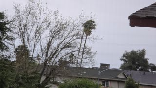 9:56am Mar 30, 2025 - Gusty Windy SSE Winds & Cloudy With Mist Drizzle