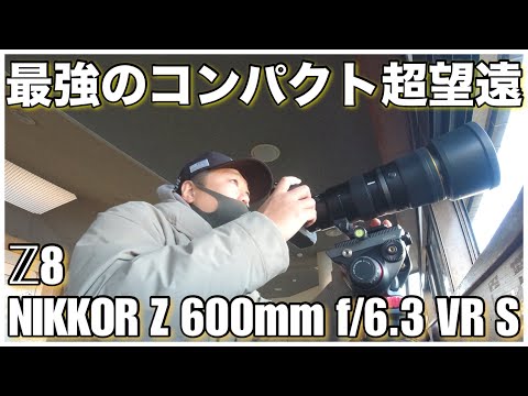 野鳥撮影】最強の軽量コンパクト超望遠レンズで鳥撮り - Z8
