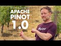Apache Pinot 1.0 | Overview of Latest Features and Updates