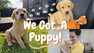 WE GOT A PUPPY! | BRINGING HOME OUR 8 WEEK OLD FOX RED LABRADOR RETRIEVER