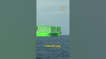 Top 3 con tàu container chở hàng lớn nhất thế giới #xuhuong #shortsvideo #shorts #taucontainer
