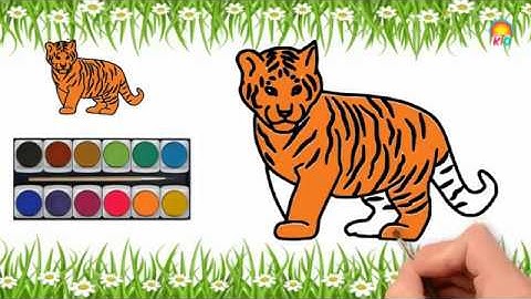 Bé Tập Vẽ Và Tô Màu Con Hổ | Có Hình Tải Về | How to Draw and Color Tiger Youtube Videos for Kids.