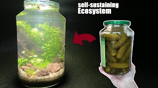 turning a Pickle Jar into a SELFSUSTAINING AQUARIUM with animals (WalstadMethod | NO tech)