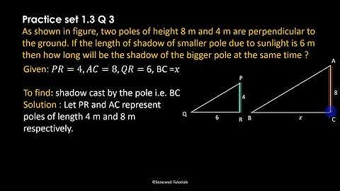 Similarity Class 10 SSC | Practice Set 1.3 | Question no 3 | Maharashtra Board #short_Solutions