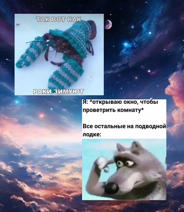 мем 42 #ягрибус #memes #хочуврек - YouTube