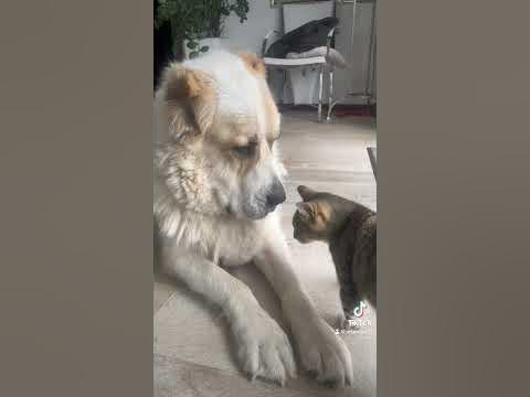 Умный дядька - YouTube