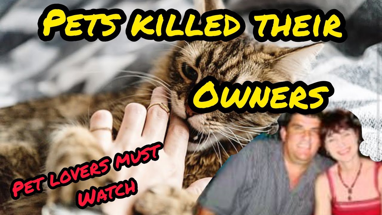 pets killed their owners / Tamil / hippo kill his owners / ferrets eating 3 month baby