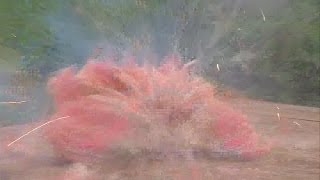 Grapefruit explosion compares dangers to digits in fireworks accident