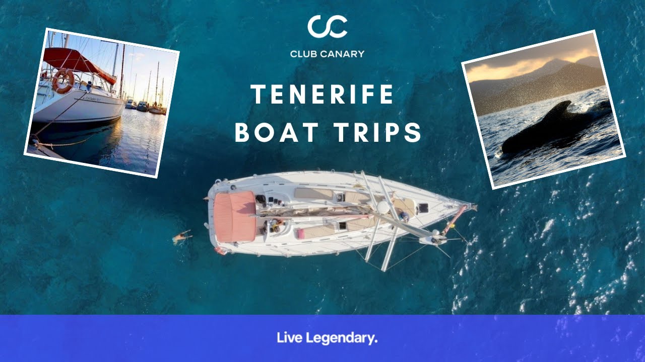 Tenerife Whale & Dolphin Watching: Best Tour with Atlantic Star!