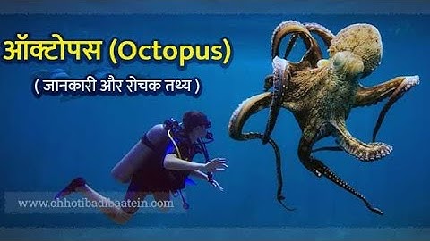 #Octopus || Information Of Octopus || # 😈 ( Devil )Fish ||Octopus Fact|| @ Wildlife Science & Nature