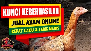 CARA JUAL AYAM ONLINE Bagian 1 | Menyiapkan Akun Medsos Yang Menjual. 