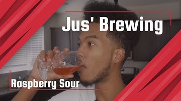 Homebrew Raspberry Sour - No grain recipe??