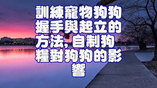 訓練寵物狗狗握手與起立的方法,自制狗糧對狗狗的影響 訓練寵物狗狗握手與起立的方法,自制狗糧對狗狗的影響