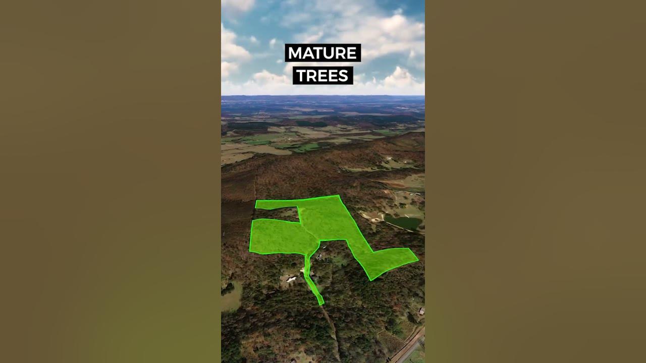26 Acres of Land for Sale in Alabama • LANDIO