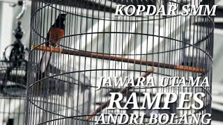 RAMPES - ANDRI BOLANG KOPDAR SMM | HALAL BI HALAL #SMM #muraibatu #gagaksakti
