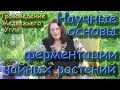 Научные основы ферментации чайных растений #медвежийугол #ферментация