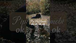 road to 350// #algorithm #booktok #bookworm #fypシ #blowup #shorts #agggtm #booktube #books