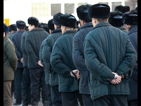 За какие статьи на зоне могут предъявить