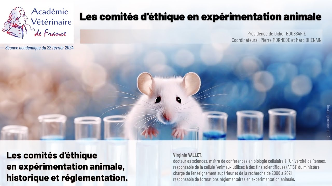 les-comit-s-d-thique-en-exp-rimentation-animale-historique-et