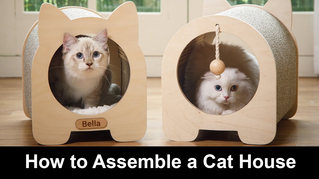  How to Assemble a Cat House