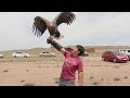 Touring Mongolia & I Held an EAGLE