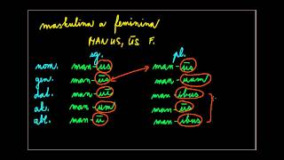4. deklinace - videokurz latiny 8. lekce