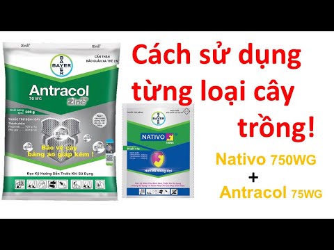 Video Nativo+Antracol cách sử dụng cho từng loại cây trồng... - youtube