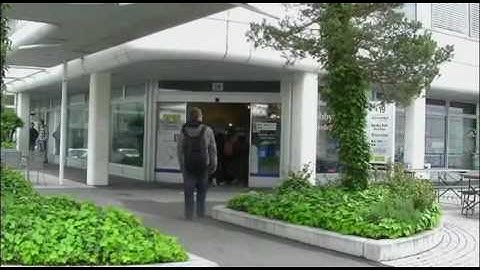 Projekt HTW Communication Design 09/10 Modul 4: Steinbock Gian besucht die HTW Chur