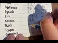 Face Parts Vocabulary in Japanese | Learn Japanese for Beginners