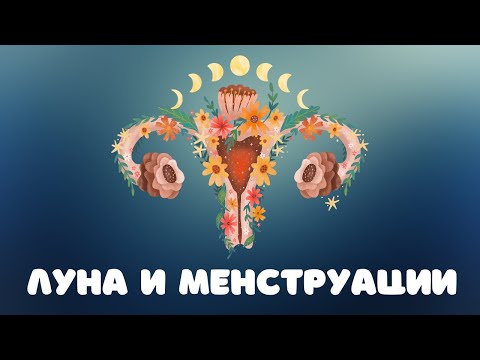 255. Луна и менструальный цикл @DrOlenaB