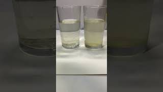 Floating egg🥚science easy experiment