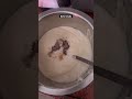 Tasty 🤤 dahi bhalle ☺️ #food #trending #cooking #testy #recipe #videos