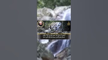 تلاوة عذبة تقشعر لها الابدان   الشيخ ياسر القرشي