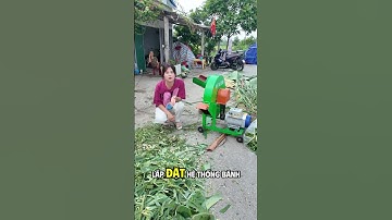 Máy Băm Chuối C600 -Băm Nhỏ Thân Cây Chuối To Chỉ Với 10 Giây