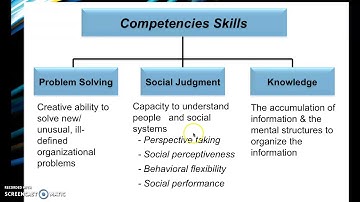 Skills Approach Summary Video