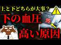 【超意外】絶対に知らないと後悔する、「下の血圧」が上がる本当の原因。実は心臓病のリスクを上昇させる。上の血圧とどっちが重要?原因は全く異なる仕組みだった。下の血圧を下げる方法は?医師が完全解説。
