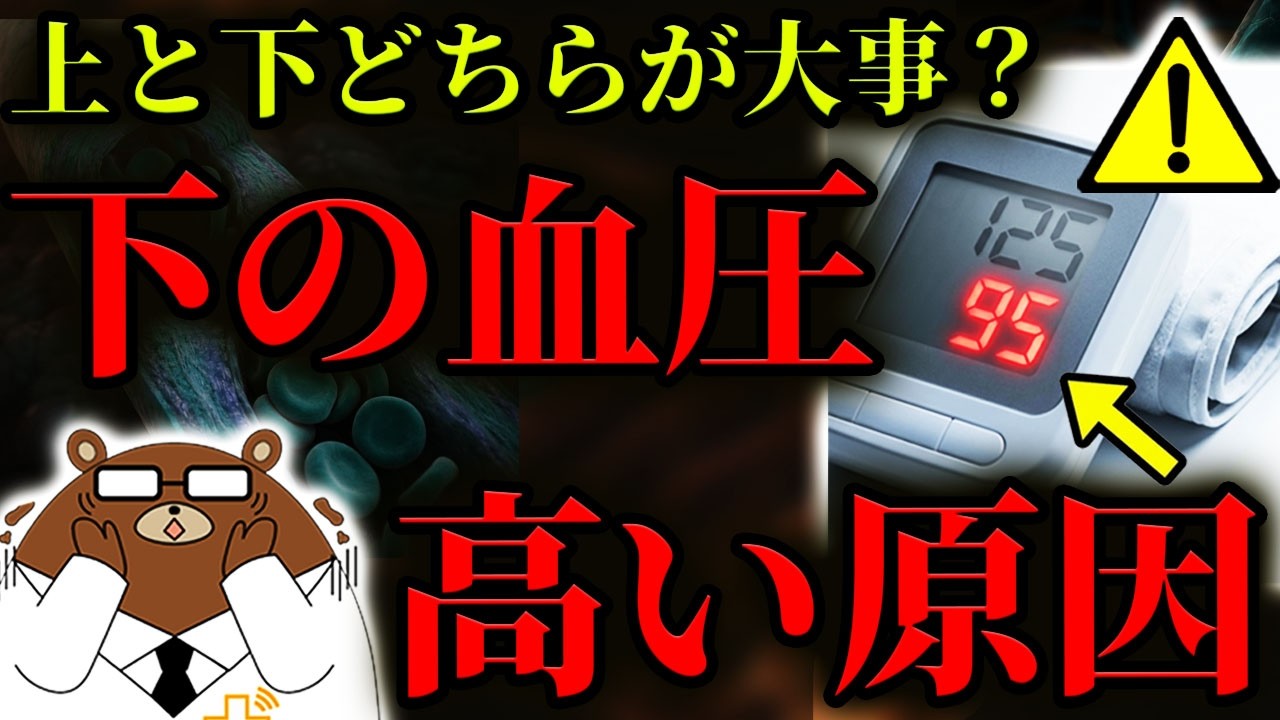 【超意外】絶対に知らないと後悔する、「下の血圧」が上がる本当の原因。実は心臓病のリスクを上昇させる。上の血圧とどっちが重要?原因は全く異なる仕組みだった。下の血圧を下げる方法は?医師が完全解説。