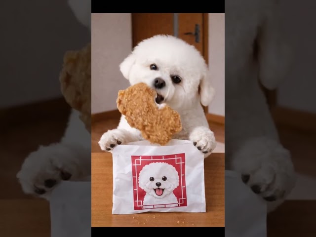 【ASMR】Giant Crispy Taiwan Fried Chicken (Dajipai) 🍗✨ | 巨大ダージーパイ #pets #咀嚼音揚げ物 #puppy