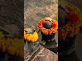 5 जून 2026