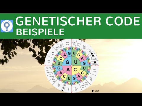 Video: Genetische Epidemiologie: Ansätze Zur Genetischen Analyse Der Rheumatoiden Arthritis