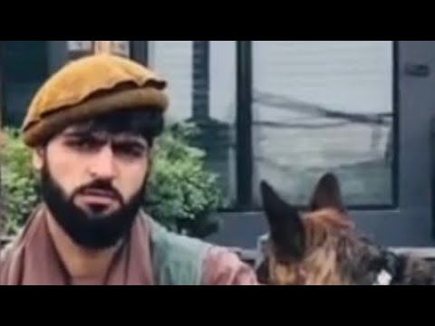 اجمل سنگری دلم بسیار تنگ است 