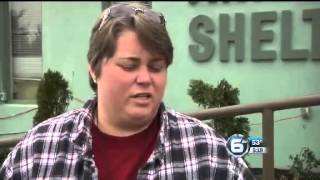 Morristown family searches for people who killed beloved pet