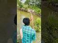Hook fishing cast a big fish #fishing #reels #amazing #foryou