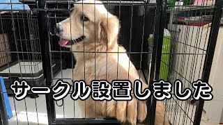 [FEANDREA Pet Circle] My dog ​​has grown so I set up a circle.