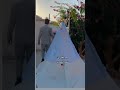 ستوريات عراس اغاني عرس مبروك من بعد صبر فدوه الايك وشتراك وصلو الف الايك