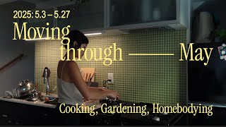 Spring Montage: Moving through May