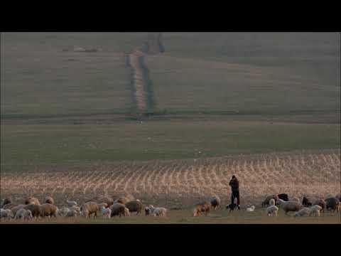 მეცხვარე/ The sheepman