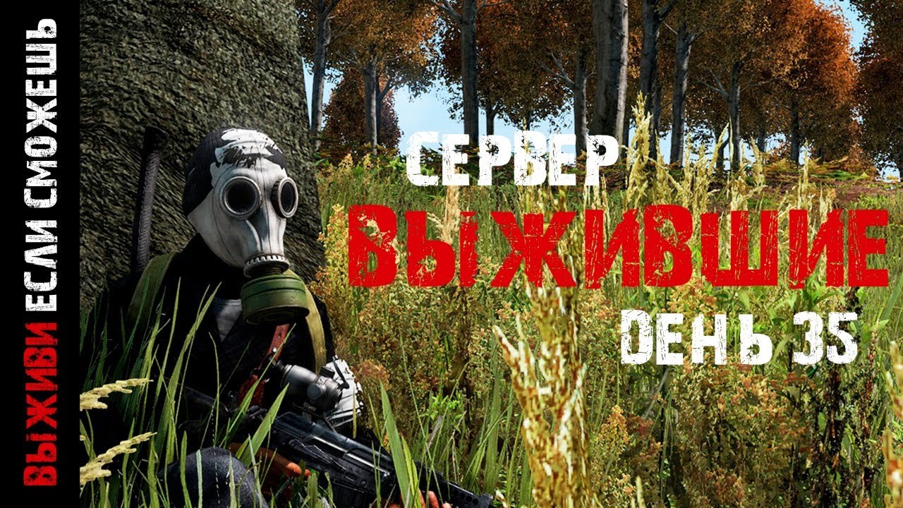 Dayz сервера с машинами