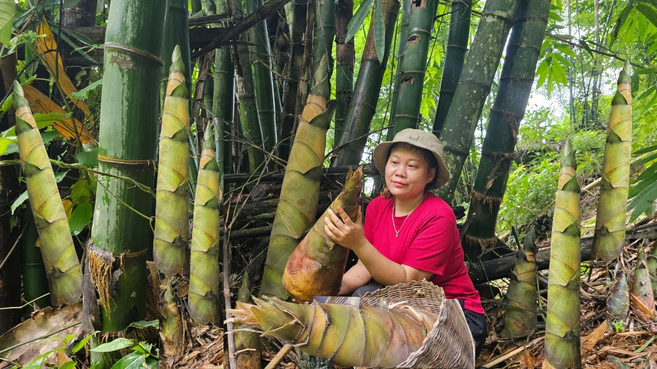 Gardening Sowing Seeds & Crafting Bamboo Chili | Tà Xùa Daily Life